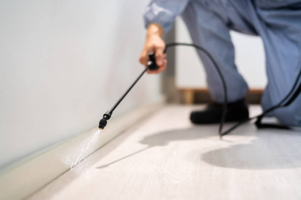 Rodent Entry Point Assessment in Hillsborough
