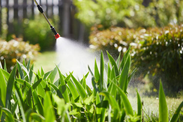 Tamper-Resistant Bait Stations for Rodents in Hillsborough