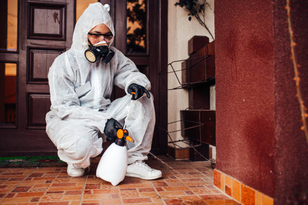 Attic and Crawl Space Rodent Treatment in Hillsborough