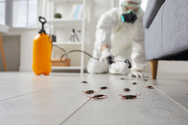 Commercial Rodent Management in Hillsborough